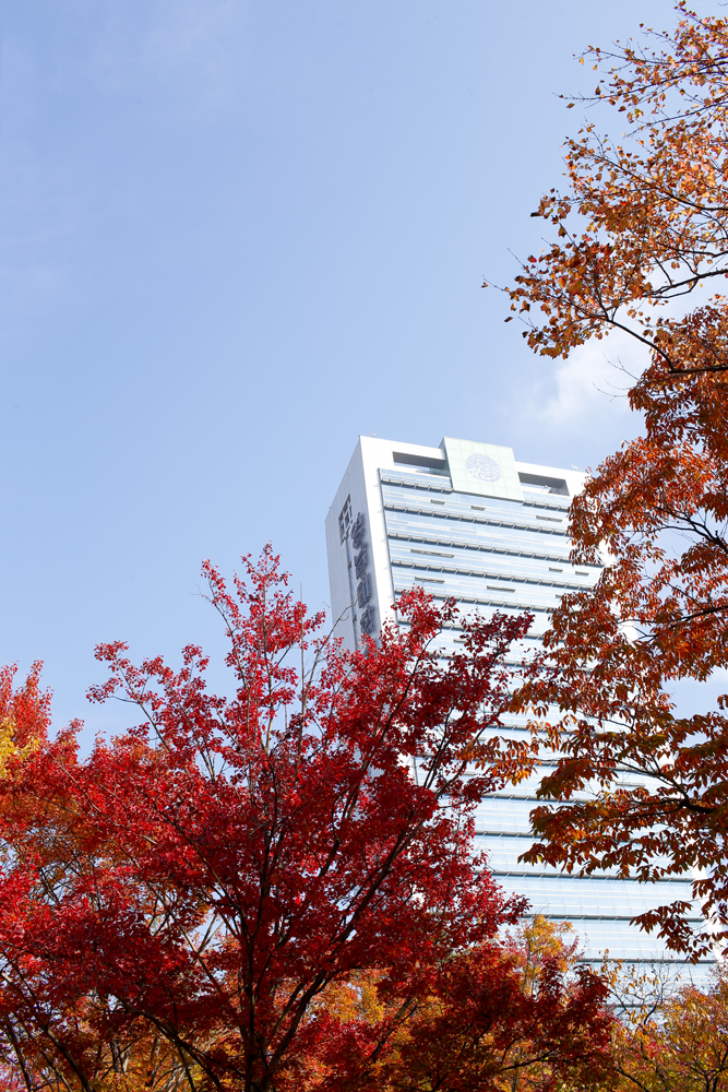 Campus-Autumn 2014